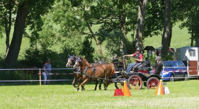 Foto des Albums: Fahrturnier Hilders 2017