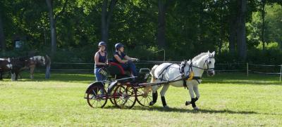 Foto des Albums: Fahrturnier Hilders 2017