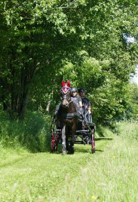 Foto des Albums: Fahrturnier Hilders 2017