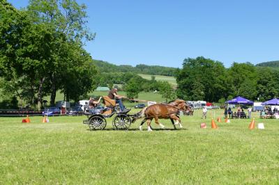 Foto des Albums: Fahrturnier Hilders 2017
