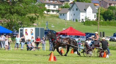 Foto des Albums: Fahrturnier Hilders 2017