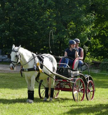 Foto des Albums: Fahrturnier Hilders 2017
