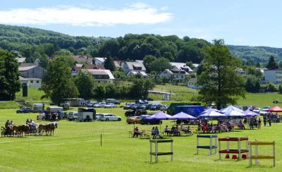 Foto des Albums: Fahrturnier Hilders 2017