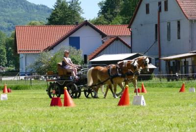 Foto des Albums: Fahrturnier Hilders 2017