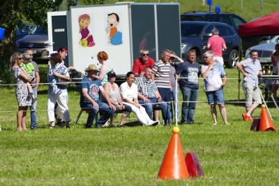 Foto des Albums: Fahrturnier Hilders 2017