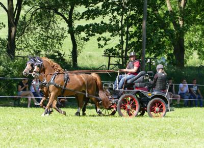 Foto des Albums: Fahrturnier Hilders 2017
