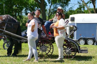 Foto des Albums: Fahrturnier Hilders 2017