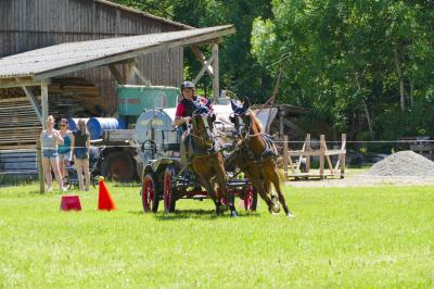 Foto des Albums: Fahrturnier Hilders 2017