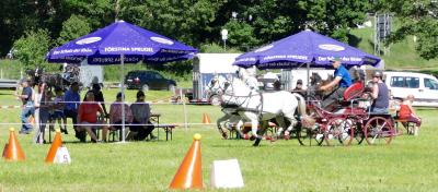 Foto des Albums: Fahrturnier Hilders 2017