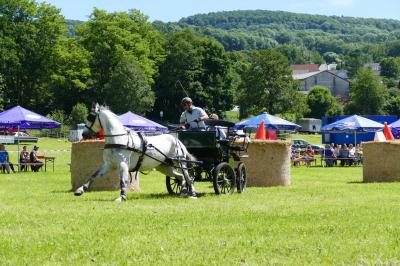 Foto des Albums: Fahrturnier Hilders 2017