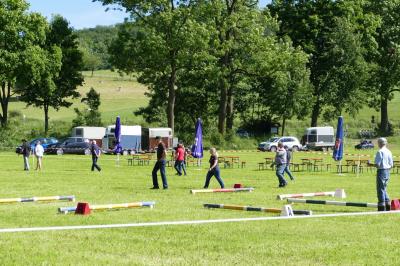 Foto des Albums: Fahrturnier Hilders 2017