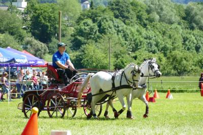 Foto des Albums: Fahrturnier Hilders 2017