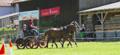 Foto des Albums: Fahrturnier Hilders 2017