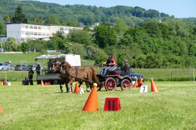 Foto des Albums: Fahrturnier Hilders 2017