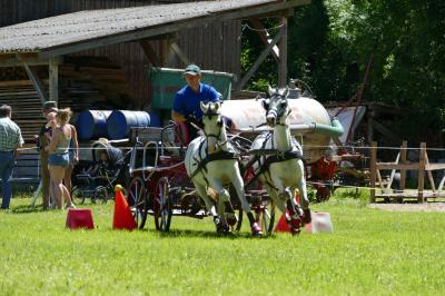 Foto des Albums: Fahrturnier Hilders 2017