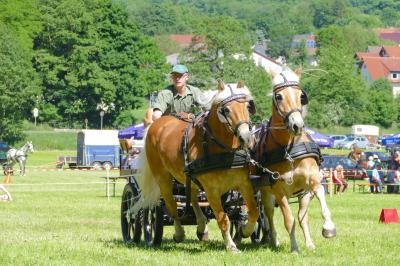 Foto des Albums: Fahrturnier Hilders 2017
