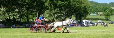 Foto des Albums: Fahrturnier Hilders 2017