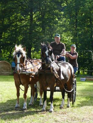 Foto des Albums: Fahrturnier Hilders 2017