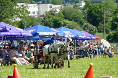 Foto des Albums: Fahrturnier Hilders 2017