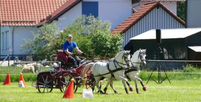 Foto des Albums: Fahrturnier Hilders 2017