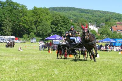 Foto des Albums: Fahrturnier Hilders 2017