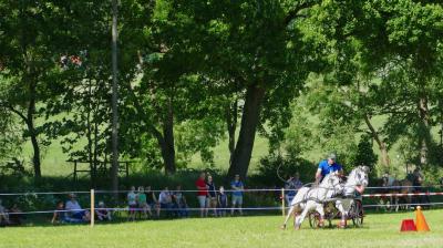 Foto des Albums: Fahrturnier Hilders 2017