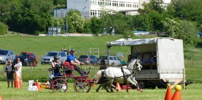 Foto des Albums: Fahrturnier Hilders 2017