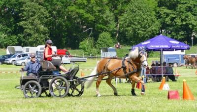 Foto des Albums: Fahrturnier Hilders 2017