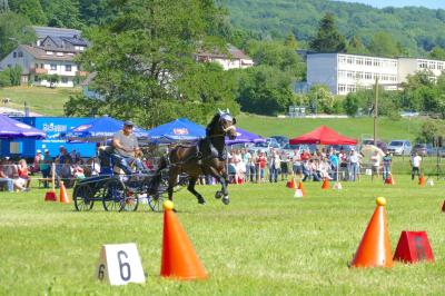 Foto des Albums: Fahrturnier Hilders 2017