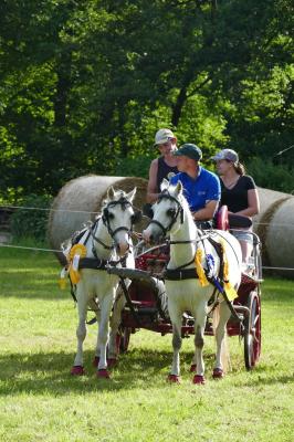 Foto des Albums: Fahrturnier Hilders 2017