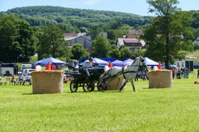 Foto des Albums: Fahrturnier Hilders 2017