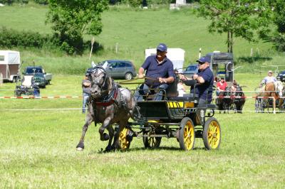 Foto des Albums: Fahrturnier Hilders 2017