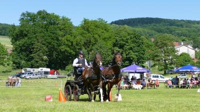 Foto des Albums: Fahrturnier Hilders 2017
