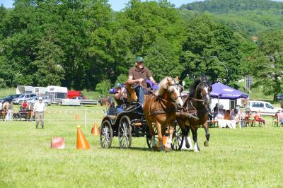 Foto des Albums: Fahrturnier Hilders 2017