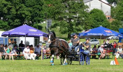 Foto des Albums: Fahrturnier Hilders 2017