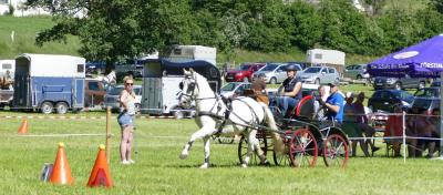 Foto des Albums: Fahrturnier Hilders 2017