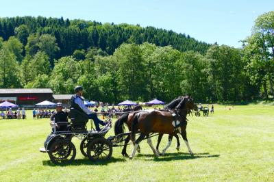 Foto des Albums: Fahrturnier Hilders 2017
