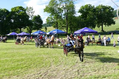 Foto des Albums: Fahrturnier Hilders 2017