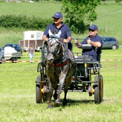 Foto des Albums: Fahrturnier Hilders 2017