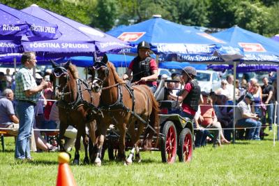 Foto des Albums: Fahrturnier Hilders 2017