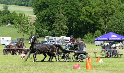 Foto des Albums: Fahrturnier Hilders 2017