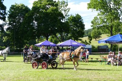 Foto des Albums: Fahrturnier Hilders 2017