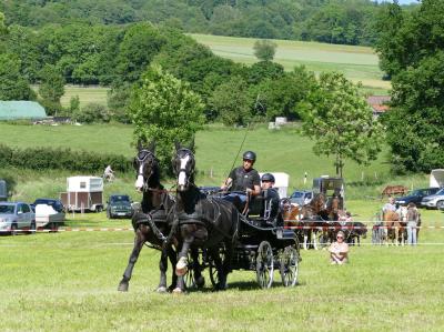 Foto des Albums: Fahrturnier Hilders 2017