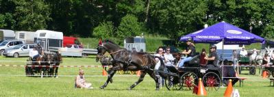 Foto des Albums: Fahrturnier Hilders 2017