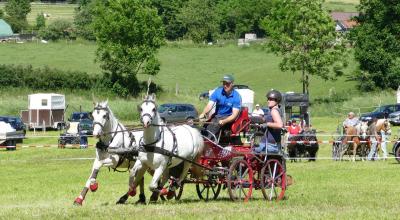Foto des Albums: Fahrturnier Hilders 2017