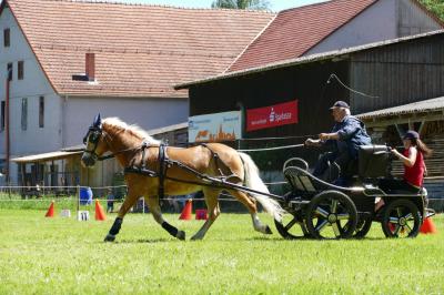 Foto des Albums: Fahrturnier Hilders 2017