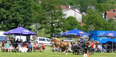 Foto des Albums: Fahrturnier Hilders 2017
