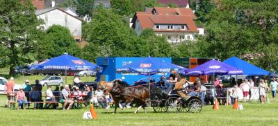 Foto des Albums: Fahrturnier Hilders 2017