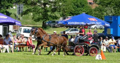 Foto des Albums: Fahrturnier Hilders 2017