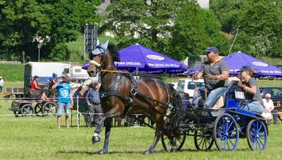 Foto des Albums: Fahrturnier Hilders 2017